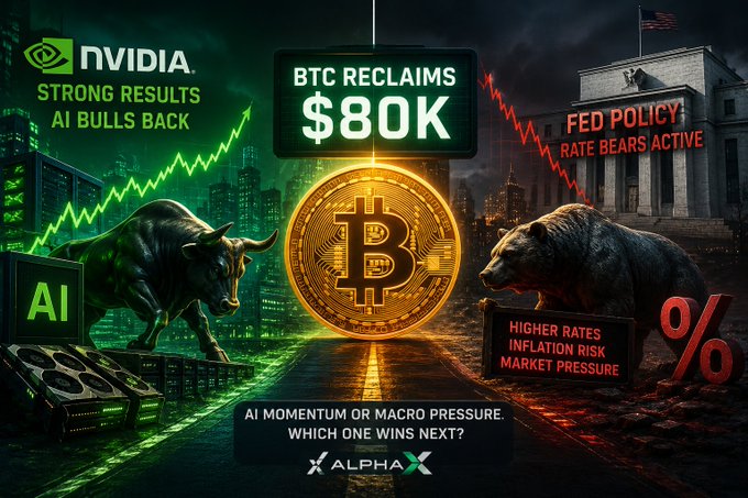 A bull vs bear crypto/macro graphic split between green (bullish) and red (bearish) sides: "NVIDIA STRONG RESULTS AI BULLS BACK," "BTC RECLAIMS $80K," and "FED POLICY RATE BEARS ACTIVE" with "HIGHER RATES, INFLATION RISK, MARKET PRESSURE" and the tagline "AI MOMENTUM OR MACRO PRESSURE. WHICH ONE WINS NEXT?" by ALPHA X.