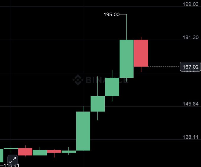 A candlestick chart on a black background showing a stock or crypto price climbing from around 114 to a high of 195.00 before settling at 167.02.