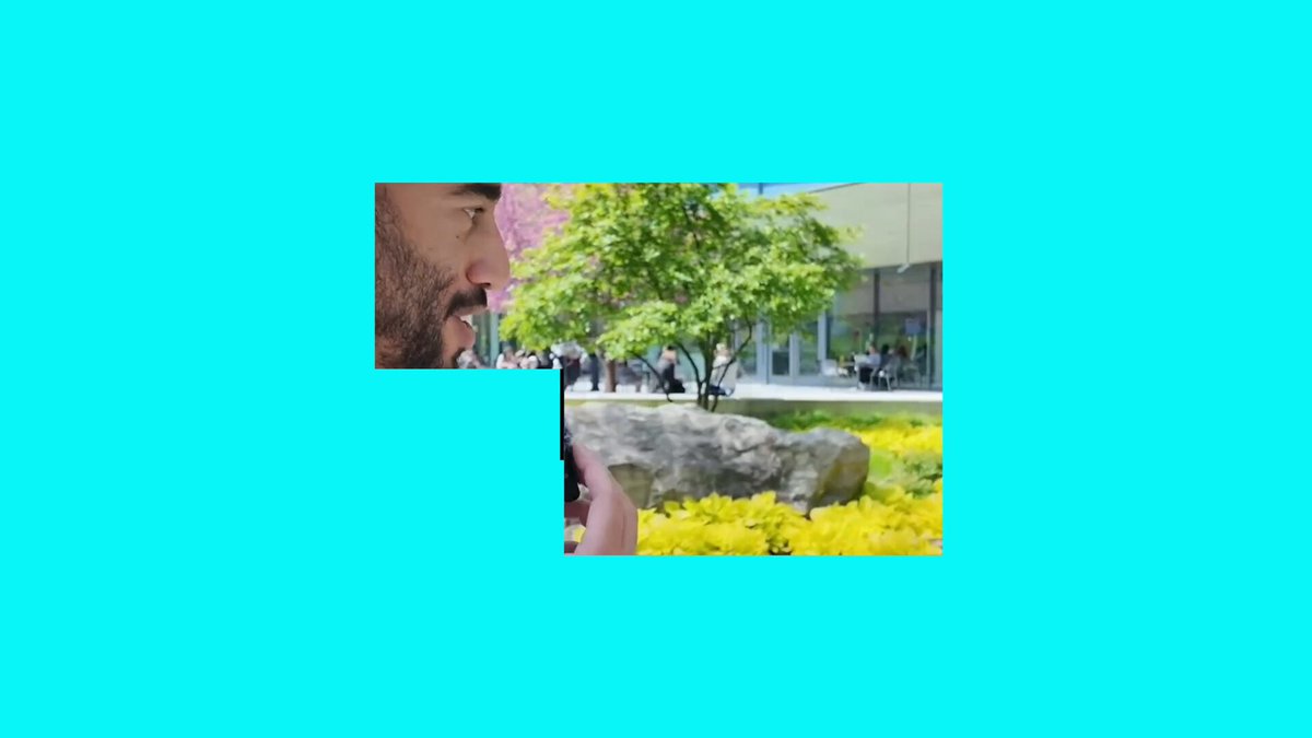 The image features a man with a beard looking at his phone, which has a picture of a tree and flowers on it. The background appears to be a blue sky or watercolor painting, depending on the viewer's perspective. There are also some people in the scene, but they are not the main focus of the image. The caption "Watch @Ledger blow our tiny minds. 00:38 we never realised...", along with an emojis, suggests that this is a humorous or lighthearted moment captured by someone who wants to share it on social media platforms like Instagram.