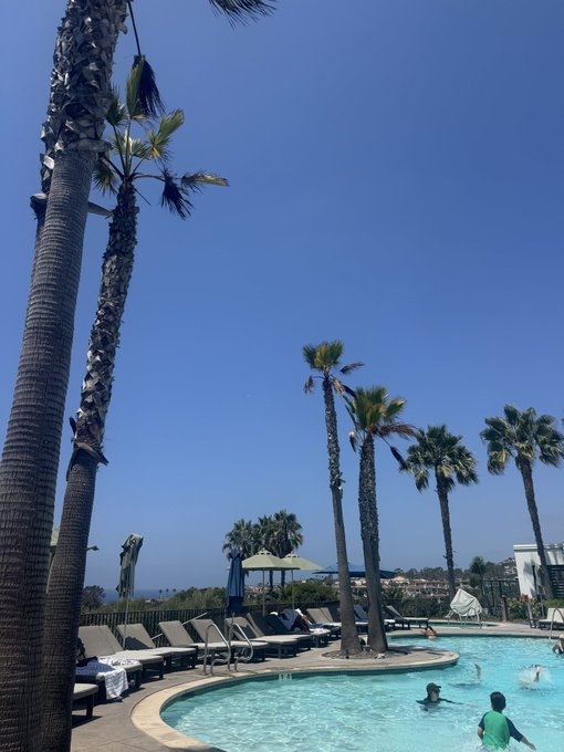 A sunny outdoor scene at a resort featuring tall palm trees, a swimming pool with several people swimming and lounging, and ocean views in the distance under a clear blue sky.