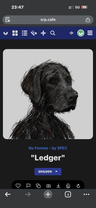 A mobile screenshot of the xrp.cafe website displaying an NFT titled "Ledger" from the "No Fences" collection by SPEC, edition 205/300. The featured artwork shows a stylized portrait of a black wire-haired dog against a light background.