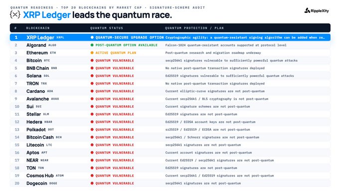 A table titled 'XRP Ledger leads the quantum race' from RippleXity showing the 'QUANTUM READINESS - TOP 20 BLOCKCHAINS BY MARKET CAP' with various blockchains marked as 'QUANTUM-SECURE', 'QUANTUM-VULNERABLE', or having a 'QUANTUM-SECURE UPGRADE OPTION'.