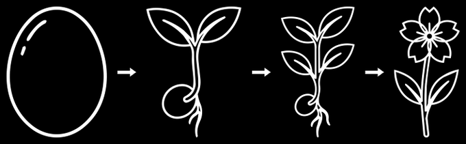 The image shows a four-stage line illustration of plant growth: an oval seed sprouts into a seedling with two leaves, develops into a young plant with more leaves, and finally blooms into a flowering plant. This visual progression mirrors the post's message of "Let wallets bloom," symbolically representing the gradual cultivation and growth of one's financial assets over time.