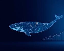A digital, wireframe-style illustration of a whale rendered in glowing blue against a dark blue background.