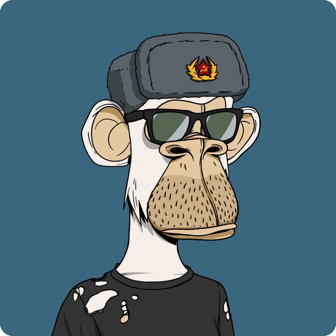 A digital illustration of a cartoon monkey wearing sunglasses and a grey ushanka hat with a red star emblem on a teal background.