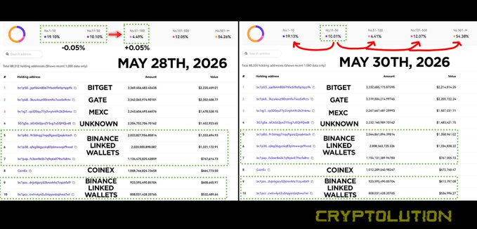 The image shows two tables with Bitcoin wallet flows for May 28, 2016 and May 30, 2016. The top table displays the largest increase among the Top 10 holders of Bitcoin wallets between those dates. The bottom table shows the same information but for May 30, 2016. Both tables have a green border around them, making it easy to read the data displayed on them.
