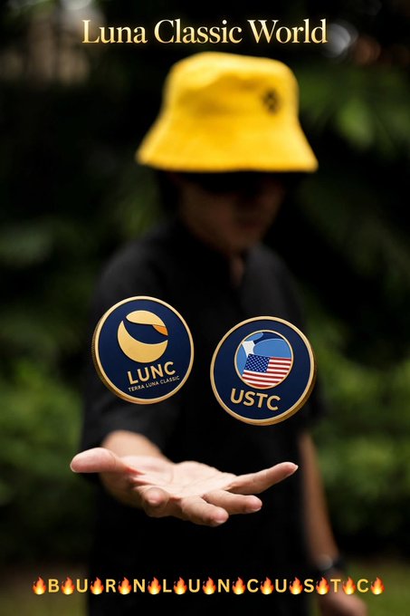 A person in a yellow bucket hat holds two coin-like tokens labeled "LUNC" (Terra Luna Classic) and "USTC" in their palm, with the caption "Luna Classic World" above and the hashtag "#BURNLUNCUSTC" displayed in fire-styled letters below, visually symbolizing the call to burn Luna Classic and USTC tokens.