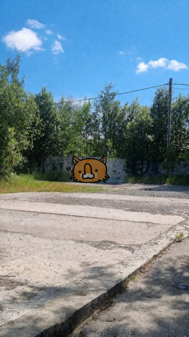 A cartoon orange cat face is spray-painted as street art on a concrete wall behind an empty paved area under a blue sky. The graffiti resembles the NFT character referenced in the post, which features a similar cat-like creature and the tag "@ThePenimals."