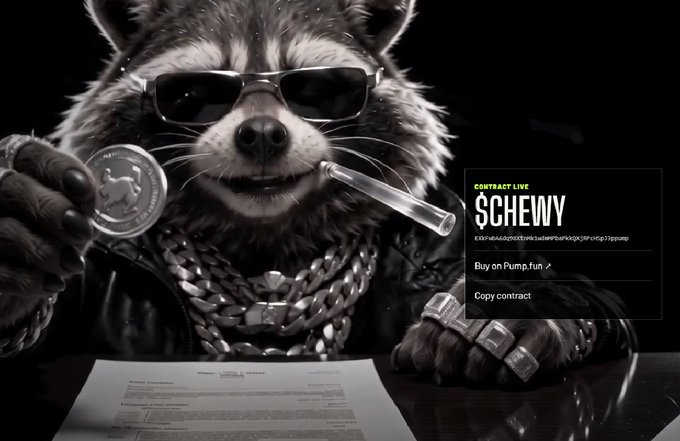 A stylized raccoon wearing sunglasses, a leather jacket, and chunky chains holds up a coin while smoking a cigar, with a document on the table in front of him. On the right, a contract LIVE interface for "SCHEWY" displays options to "Buy on Pump.fun" and "Copy contract," tying into the post's announcement that the website is updated with CA on crackoon.lol.