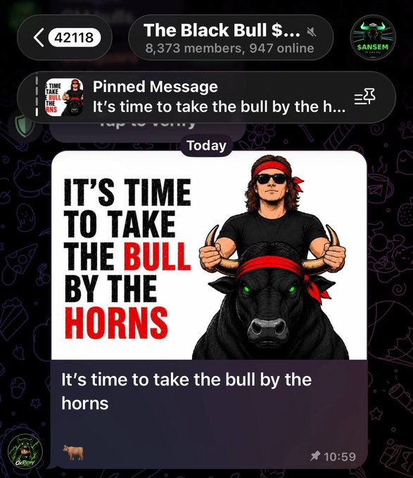 A screenshot of "The Black Bull $" Telegram group chat (42118, 8,373 members, 947 online) showing a pinned message and an image of a man with long hair, sunglasses, and a red bandana holding the horns of a black bull with green eyes, captioned "IT'S TIME TO TAKE THE BULL BY THE HORNS" — posted at 10:59, aligning with the post's mention of $ANSEM admins promoting $GMEBULL and potential collaboration for liquidity.