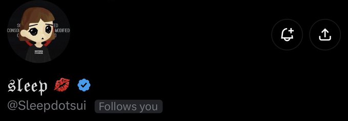 A social media profile header featuring a cartoon avatar, the display name 'Sleep 🧠 🔵', the username '@Sleepdotsui', and a 'Follows you' badge on a black background.