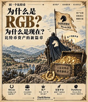 A Chinese promotional poster asking '为什么是RGB？为什么是现在？' (Why RGB? Why now?) featuring a knight with a 'DARKHORSE Bitcoin RGB' flag, with logos for Bitcoin, RGB, Ordinals, 开发平台 (Developer Platform), and DarkHorse at the bottom.