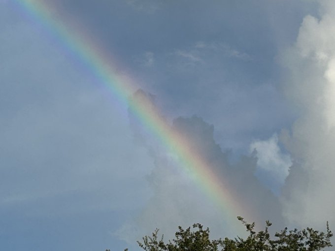 A vibrant rainbow arches across a partly cloudy sky above the tops of green trees.