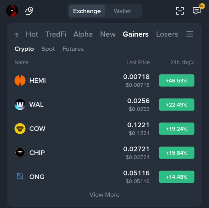 A screenshot of a crypto exchange's 'Gainers' list showing top performing cryptocurrencies: HEMI (+46.53%), WAL (+22.49%), COW (+19.24%), CHIP (+15.84%), and ONG (+14.48%).
