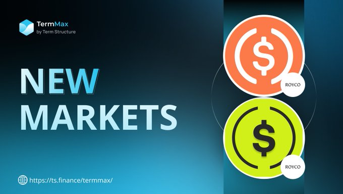 A promotional graphic for 'TermMax by Term Structure' announcing 'NEW MARKETS' with two circular $ icons (orange and yellow-green) labeled 'ROYCO' and the URL https://ts.finance/termmax/.
