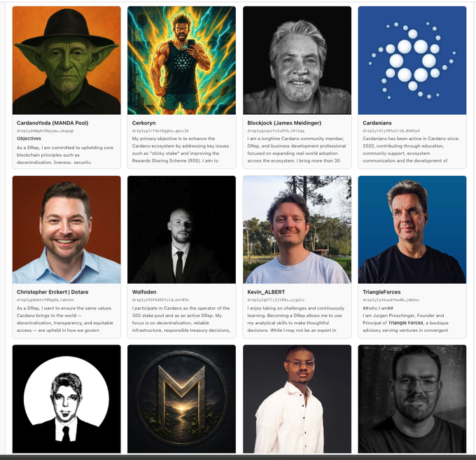 A grid of Cardano community member profiles including CardanoYoda (MANDA Pool), Cerbryn, Blockjack (James Madinger), Cardanians, Christopher Erckert (Datore), WolfFoden, Kevin_ALBERT, and Triangle Forces, each with their objectives listed.