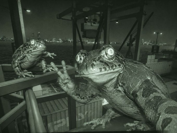 Two toads flashing "rock on" hand signs from a dock at night, humorously framing the bold $FRONG memecoin's ambitious leap from a $9M to a $500M market cap with rebellious "frog rock" energy.