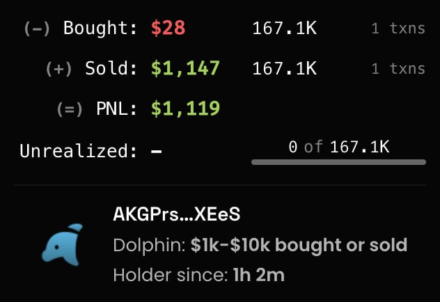 A trading summary showing a PNL of $1,119 from selling 167.1K units (bought for $28, sold for $1,147) by a user tagged 'AKGPrs...XEeS' with a Dolphin designation.