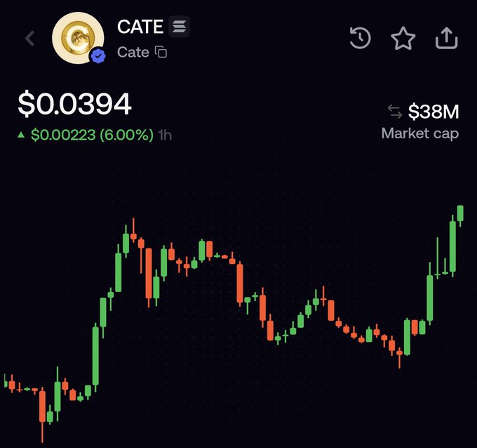 The image shows a cryptocurrency price chart for "CATE" (Cate) trading at $0.0394, with a market cap of $38M and a recent gain of $0.00223 (6.00%) in the last hour. The candlestick chart displays a sharp uptrend on the right side, visually reinforcing the post's claim of rapid growth from a $13M to $38M market cap, with the caption suggesting even higher valuations ("billions") are ahead.
