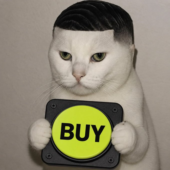 A humorous edit of a white cat with a human-style haircut pressing a large yellow 'BUY' button.
