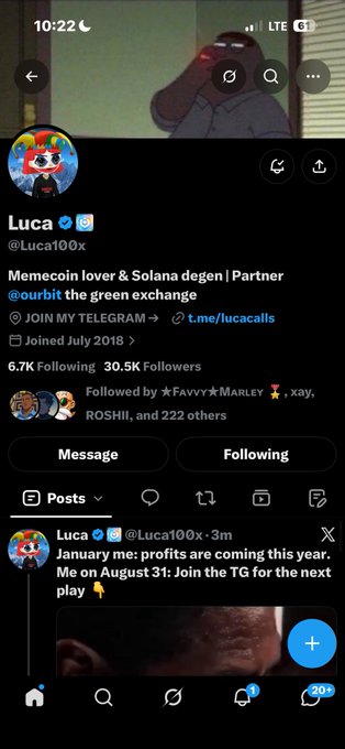 A screenshot of a Twitter/X profile for 'Luca' (@Luca100x), displaying the bio 'Memecoin lover & Solana degen | Partner @ourbit the green exchange' and a pinned tweet mentioning January profits and a Telegram group.
