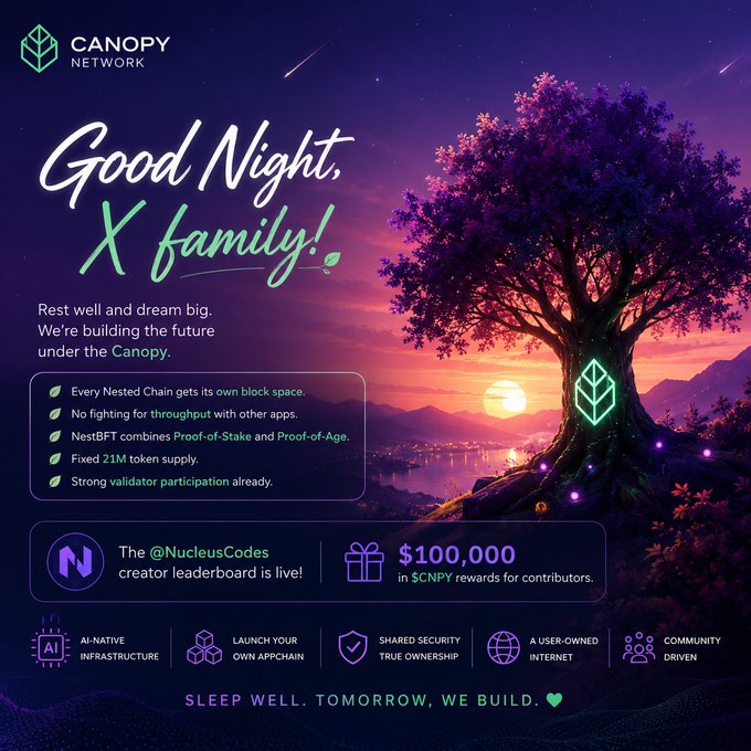The image features a tree with purple leaves against a sunset sky, accompanied by text promoting "Good Night X Family!". The poster also includes information about Canopy Network Project (CNPY) and their Web3 platform, which aims to make building web3 projects easier for users. The poster emphasizes the importance of sleep and well-being in achieving success with web3 projects, as it encourages people to take a break from their projects and focus on self-care.