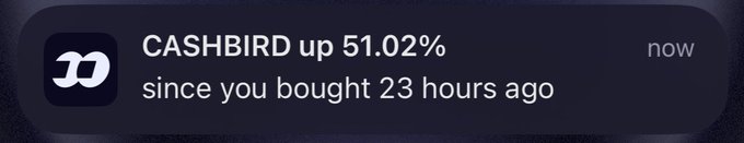 A stock notification shows CASHBIRD is up 51.02% since purchase 23 hours ago, aligning with the post's optimism about the token's potential price movement following the developer's fee transfer.
