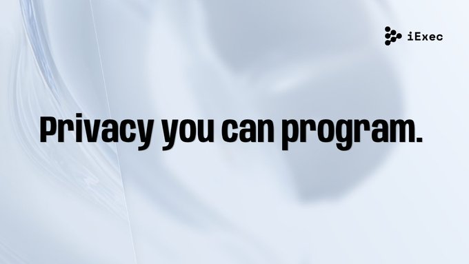The image is a sleek, minimalist promotional graphic featuring the iExec logo in the top right corner and the tagline "Privacy you can program." in bold black text against a soft, abstract silver/white background with flowing curved shapes.

This visually reinforces the post's message about "building" by positioning iExec as a programmable privacy solution—suggesting the company is constructing developer-friendly infrastructure for data privacy.