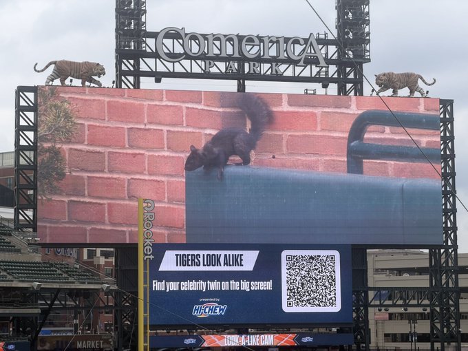 A large stadium scoreboard at Comerica Park (Detroit Tigers) displaying a video of a squirrel on a brick wall with text 'TIGERS LOOK ALIKE - Find your celebrity twin on the big screen!' sponsored by Hi-Chew, with tiger statues on top.
