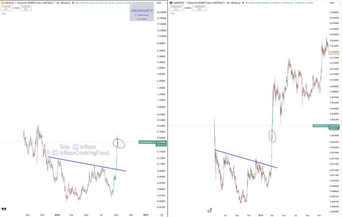 A side-by-side trading chart comparison showing the USELESS/USDT pair on Bybit, with contact info 'Tele @Rose' and '@RoseCookingFood' overlaid.