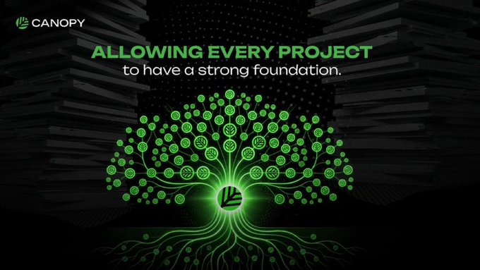 A Canopy Network promotional graphic displaying "ALLOWING EVERY PROJECT to have a strong foundation" alongside a stylized green tree made of coin icons with circuit-like roots.