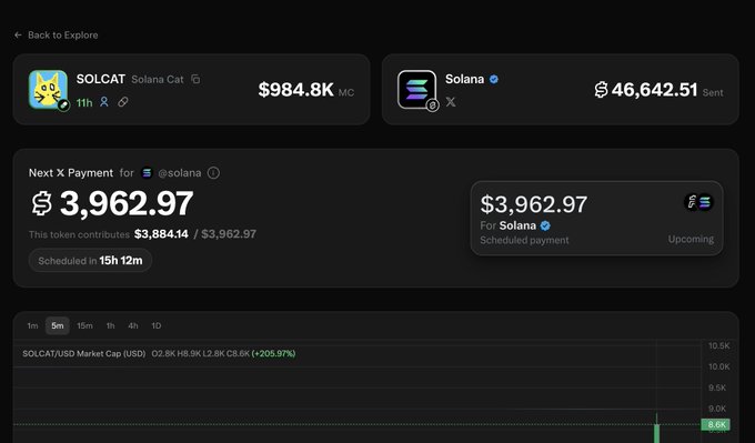 A cryptocurrency dashboard showing market data for 'SOLCAT' (Solana Cat) with a market cap of $984.8K and 'Solana' with a value of $46,642.51, along with a scheduled payment of $3,962.97.