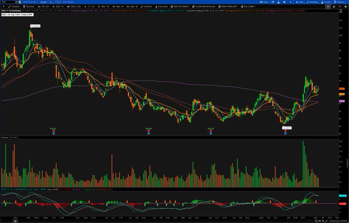 A detailed stock or cryptocurrency trading chart on Thinkorswim software displays candlestick patterns, moving averages, volume bars, and MACD indicators on a dark background.
