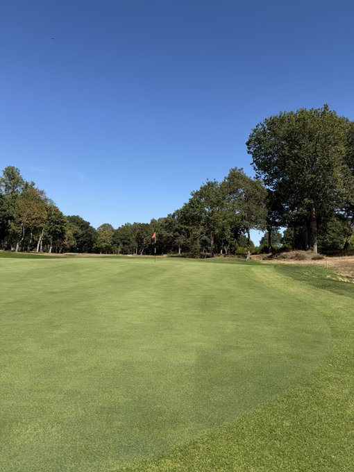 A sunny golf course green with a red flag marking the hole, surrounded by mature trees under a clear blue sky.