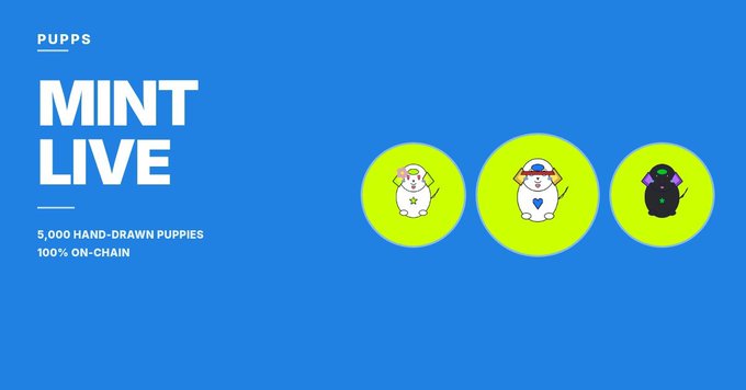 A blue promotional banner for "PUPPS" announces "MINT LIVE" with details of "5,000 HAND-DRAWN PUPPIES" that are "100% ON-CHAIN," featuring three cartoon puppy characters in circular green icons, aligning with the post's call to mint on OpenSea with a reveal after sellout.