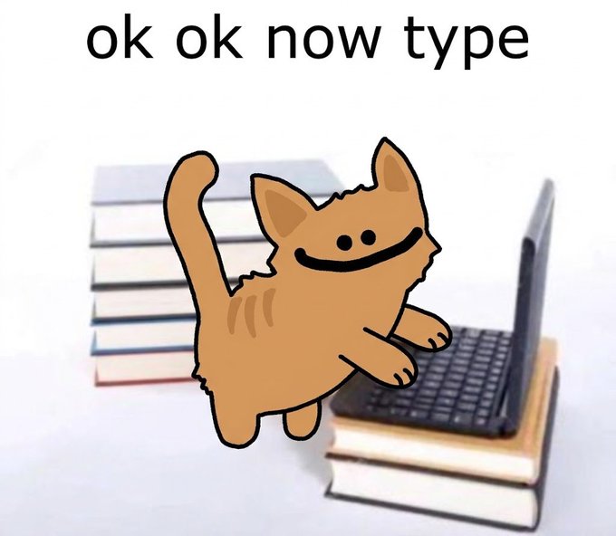 A meme image showing a cartoon orange cat standing at a laptop on a stack of books, with the text 'ok ok now type' displayed at the top.