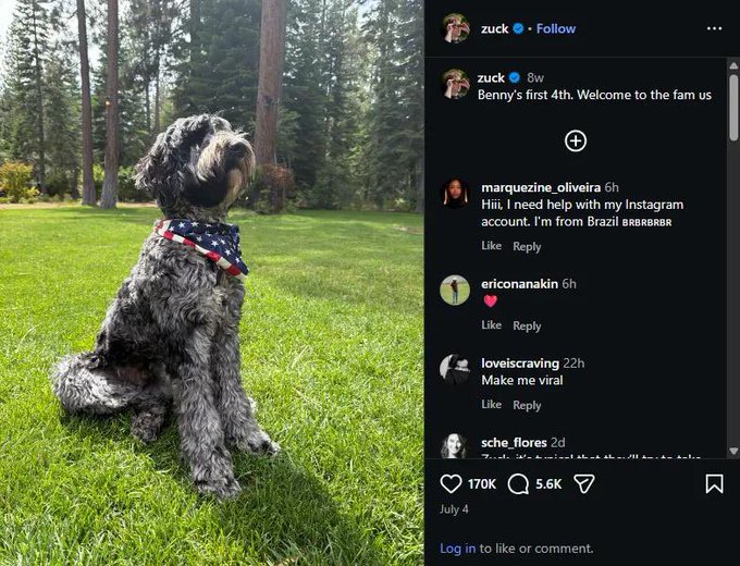 The image shows an Instagram post by Mark Zuckerberg (@zuck) featuring his shaggy gray dog sitting on grass in an outdoor setting, wearing a red, white, and blue patriotic bandana. The post, dated 8 weeks ago, announces "Benny's first 4th. Welcome to the fam us" — introducing Benny as Zuckerberg's new dog, who is being hailed in the caption as the Meta founder's only publicly known pet and a "Doodle Inu" crypto token ($Benny).