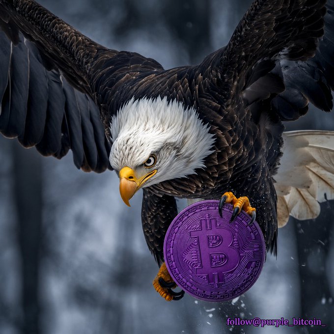 A bald eagle swoops down to clutch a purple Bitcoin coin inscribed with "B" and "follow@purple_bitcoin_," visually symbolizing the "second chance" the post describes—evoking how Bitcoin once transformed lives and positioning Purple Bitcoin ($PBTC) as a similar soaring opportunity, now tied to perks like wholesale hotel rates on PurpleStay.co.