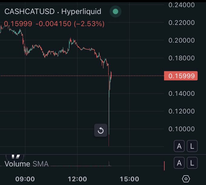 A candlestick chart from Hyperliquid showing CASHCATUSD dropping sharply from around $0.20 to $0.15999 (-2.53%) around 14:30, with the post emphasizing how leverage punishes both longs and shorts in such volatile moves despite confidence in the trade setup.