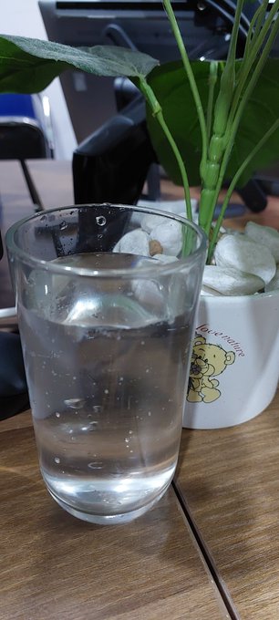 A clear glass filled with water sits on a wooden table next to a white ceramic pot decorated with a teddy bear design and containing a green plant.