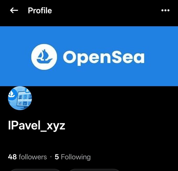 An OpenSea profile page displays the username 'IPavel_xyz' with 48 followers and 5 following, featuring the OpenSea logo and sailboat icon.