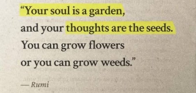 The image features a highlighted quote by Rumi: *"Your soul is a garden, and your thoughts are the seeds. You can grow flowers or you can grow weeds."*

The inspirational quote about cultivating positive thoughts fits thematically with the post's crypto giveaway, symbolizing the optimism and good vibes behind sharing rewards with the community.