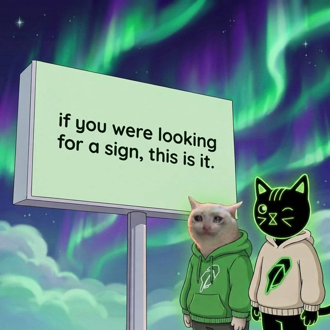 A meme-style image showing a cat-headed character in a green hoodie and a black cat character with glowing green outlines in a beige hoodie standing beneath a sign that reads 'if you were looking for a sign, this is it.' against a backdrop of green aurora borealis.