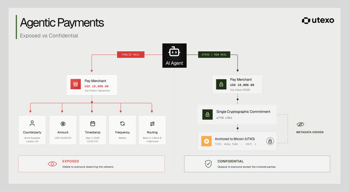The image, titled "Agentic Payments: Exposed vs Confidential," contrasts two payment flows: a "Public/Rail" where an AI Agent pays a merchant with USD 10,000.00 publicly via public networks, exposing counterparty (Acme Supplies London, UK), amount (USD 10,000), timestamp (May 4, 2025 3:04:05), frequency (Weekly), and routing details (Bank A → Bank B); and a "Speed/RGB Rail" using the same payment anchored in Bitcoin (UTXO: bc1...4b36...7e98... vOUT: 2) through a Single Cryptographic Commitment (c361), keeping metadata hidden from everyone except involved parties. The visual directly supports the post's message about Utexo's rail enabling private B2B agent transactions by default while allowing selective disclosure to auditors/regulators when needed.