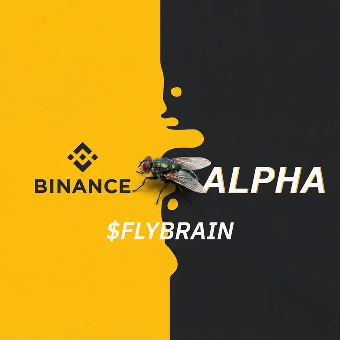 A promotional graphic features a fly in the center, with 'BINANCE' and its logo on a yellow background on the left, and 'ALPHA' and '$FLYBRAIN' on a dark background on the right, separated by a wavy boundary.