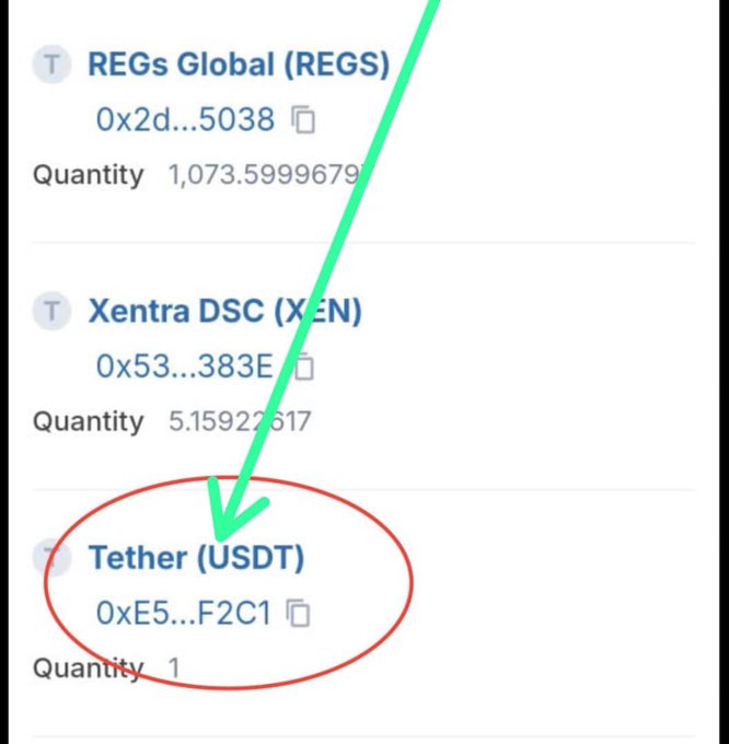 A cryptocurrency wallet screenshot showing token balances including REGs Global (REGS) with 1,073.5999679, Xentra DSC (XEN) with 5.1592..., and Tether (USDT) with a quantity of 1, with an arrow and red circle highlighting the USDT entry to emphasize its presence on the Sidra Chain network.