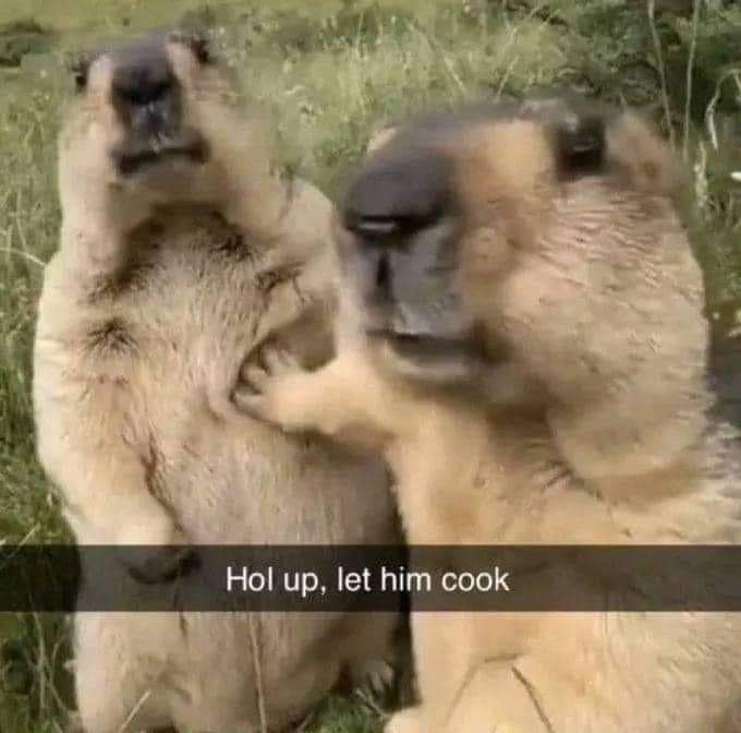 Meme of two capybaras in a grassy field, with the one on the right holding up its paw toward the other, captioned 'Hol up, let him cook'.