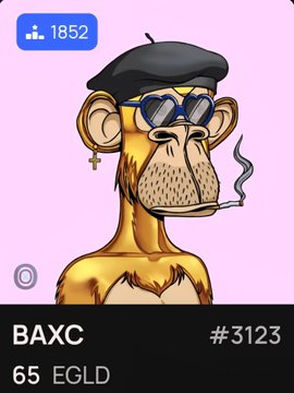 A cartoon monkey wearing sunglasses, a hat with a feather sticking out of its ear, and holding a cigarette is featured as the central character. The image also includes text about an eBay listing for bananas, which indicates that this may be related to the banana-themed item being sold on the marketplace.