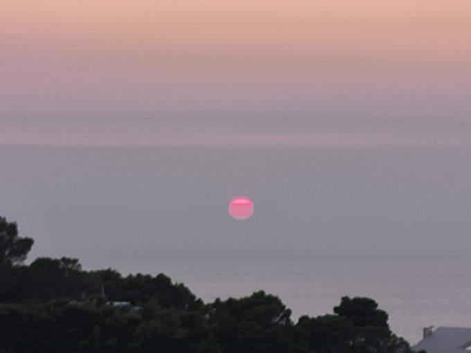 A pink sunset sun sets over the ocean horizon with silhouetted trees and rooftops in the foreground, capturing a serene dusk seascape.