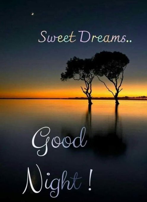 A serene sunset over calm waters with a silhouetted tree and the words "Sweet Dreams.. Good Night!" overlaid in cursive script, serving as a peaceful goodnight greeting shared at the close of a day by GN Web Builders.